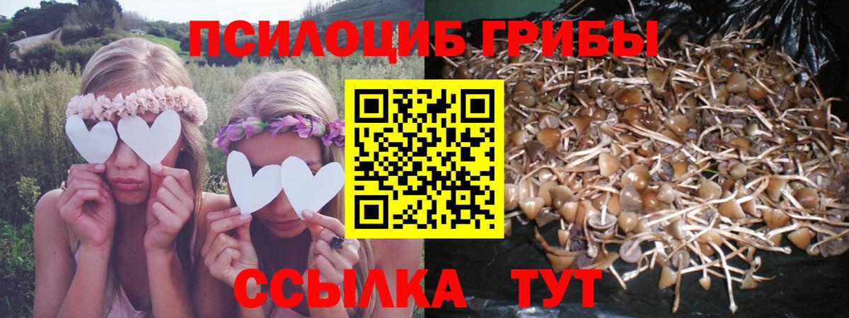 Ступино  Псилоцибиновые грибы мицелий  Вход с VPN 